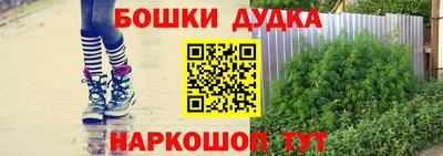 спайс Малгобек